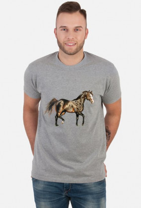 koń trot