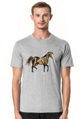 koń trot