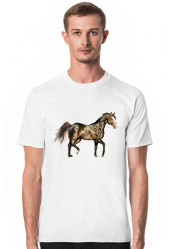 koń trot