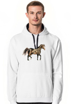 koń trot