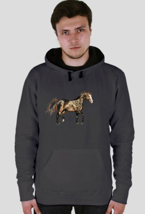 koń trot