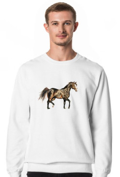 koń trot