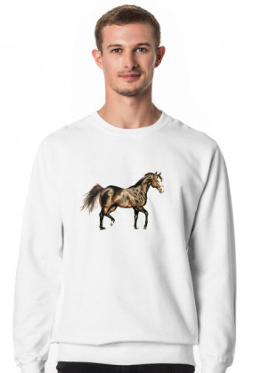 koń trot