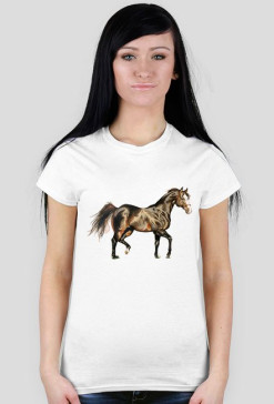 koń trot