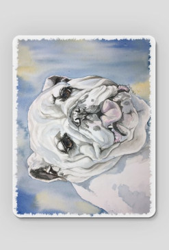 Bulldog