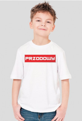 Byle na 6 - koszulka dla chłopczyka z serii Przodowy.