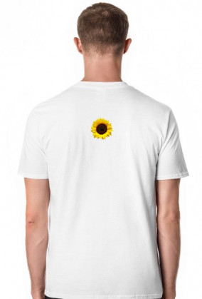 FLOWER BOY