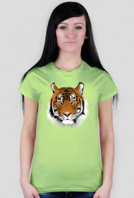 Koszulka damska - Tygrys