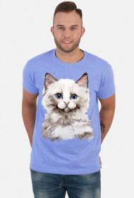 kot ragdoll