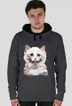 kot ragdoll