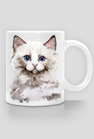 kot ragdoll