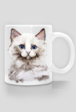 kot ragdoll