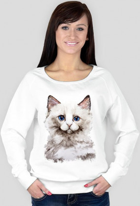 kot ragdoll