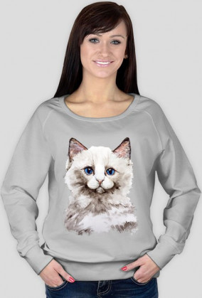 kot ragdoll