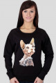 kot sphinx