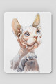 kot sphinx