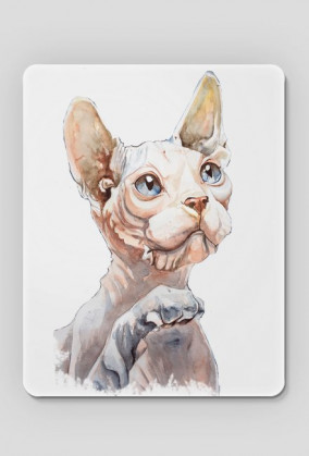 kot sphinx