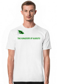 THE KINGDOM OF KABUTO