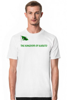 THE KINGDOM OF KABUTO