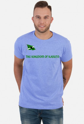 THE KINGDOM OF KABUTO