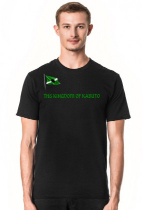 THE KINGDOM OF KABUTO