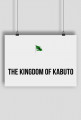OFFICIAL KABUTO 22
