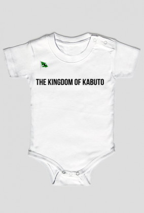 OFFICIAL KABUTO 23