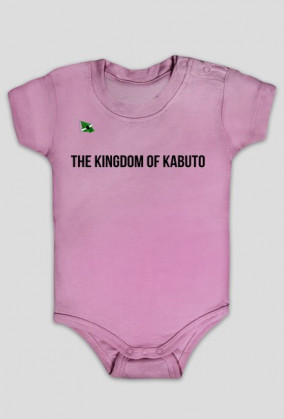 OFFICIAL KABUTO 23