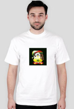 Pingwin Rasta