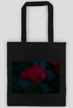 Rose II