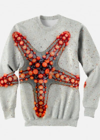 Bluza bez kapture StarFish