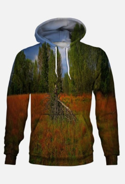 grass and trees
