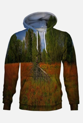 grass and trees