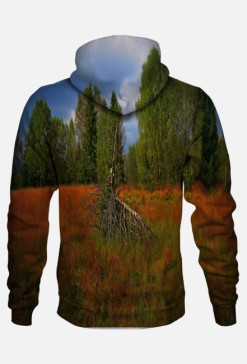 grass and trees