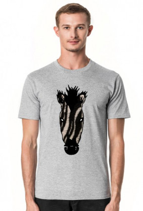 Zebra i z klasą!