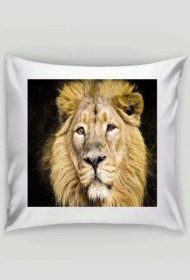 Poduszka  z dużym kotem :-)