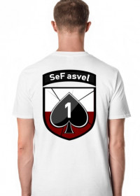 SeF asvel logo