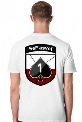 SeF asvel logo
