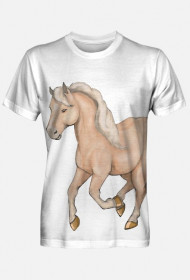 Koń Palomino