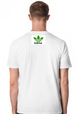Kaktus