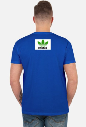 Kaktus