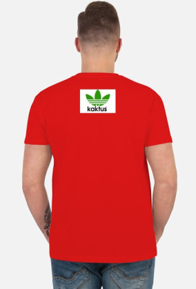 Kaktus