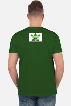Kaktus