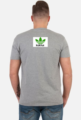 Kaktus