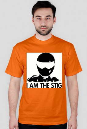 STIG
