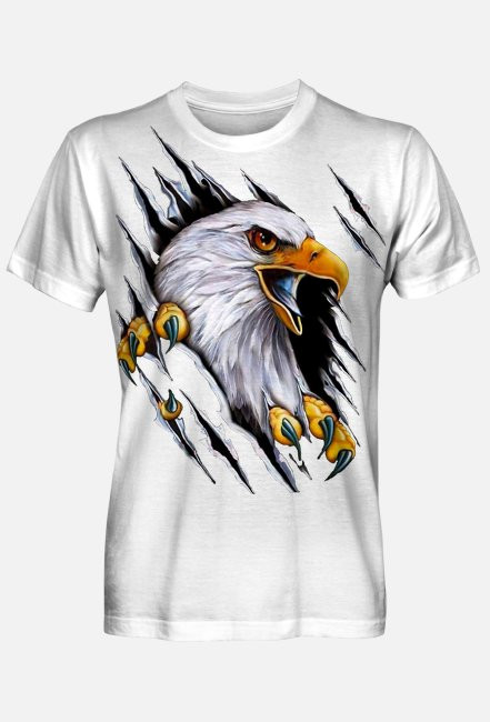 Harley Davidson Eagle