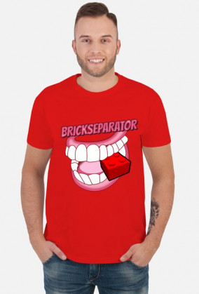 Separator klocków Lego