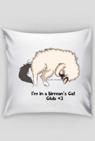 Birman Cat