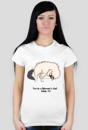 Birman Cat