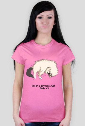 Birman Cat